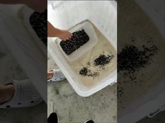 Ver: Demostración de la clasificadora de color CCD LC-M4H para minerales