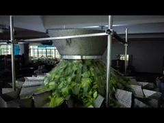 Vea por qué elegir la máquina empacadora de bolsas prefabricadas de semillas de calabaza, máquina de pesaje y empaque de bolsas con cremallera