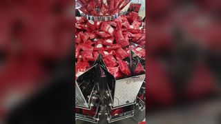 Máquina envasadora automática de bolsas prefabricadas rotativas Bag-in-Bag